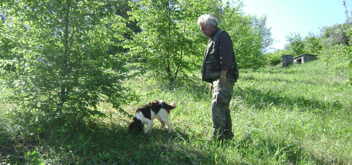 Ricerca e raccolta dei tartufi
