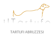 Vendita tartufi freschi