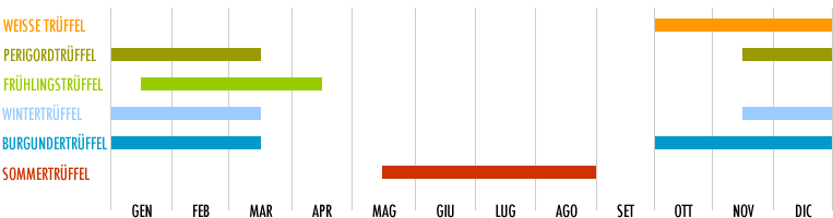 Erntezeiten und Verkauf der frischen Trüffel