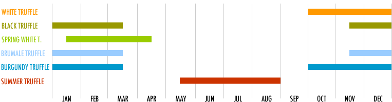 Fresh truffle harvesting and availability periods chart