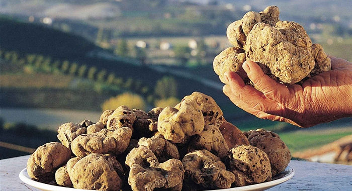 Tartufo abruzzese