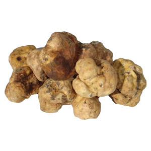 TSpring white truffle