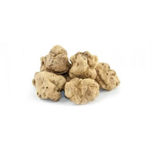 La truffe blanche