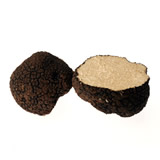 Tartufo Estivo