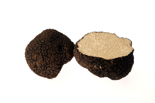 tartufo-estivo.jpg