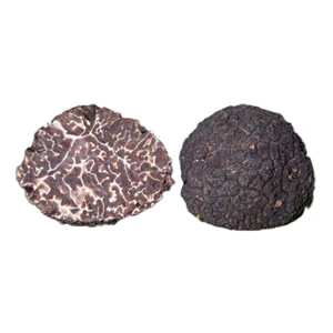 Tartufo moscato fresco