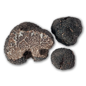 Brumale truffle