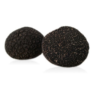 La truffe noire noble