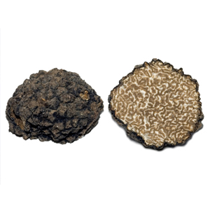 Burgundy truffle